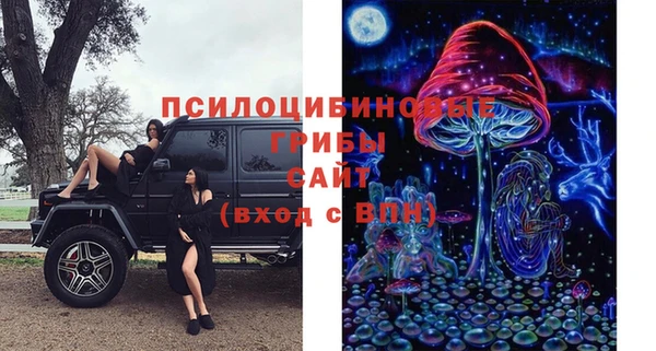 mdpv Вязники