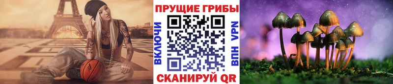 Псилоцибиновые грибы прущие грибы  Купить закладки  Приволжск 